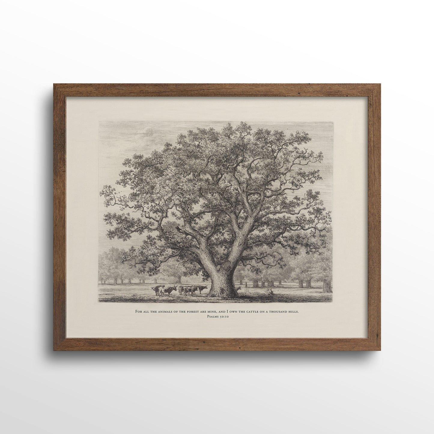 Cattle On a Thousand Hills