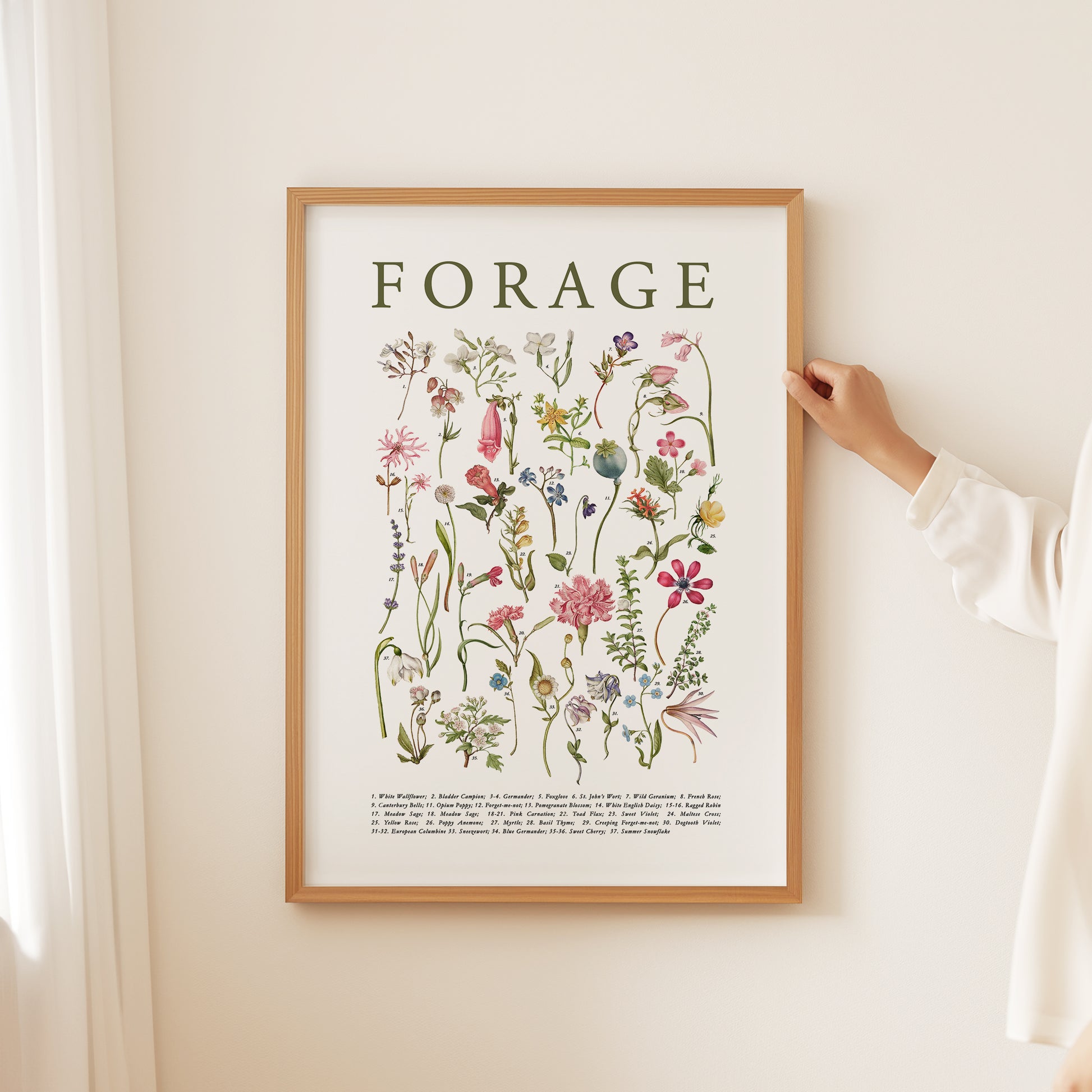 forage art print, flower study 