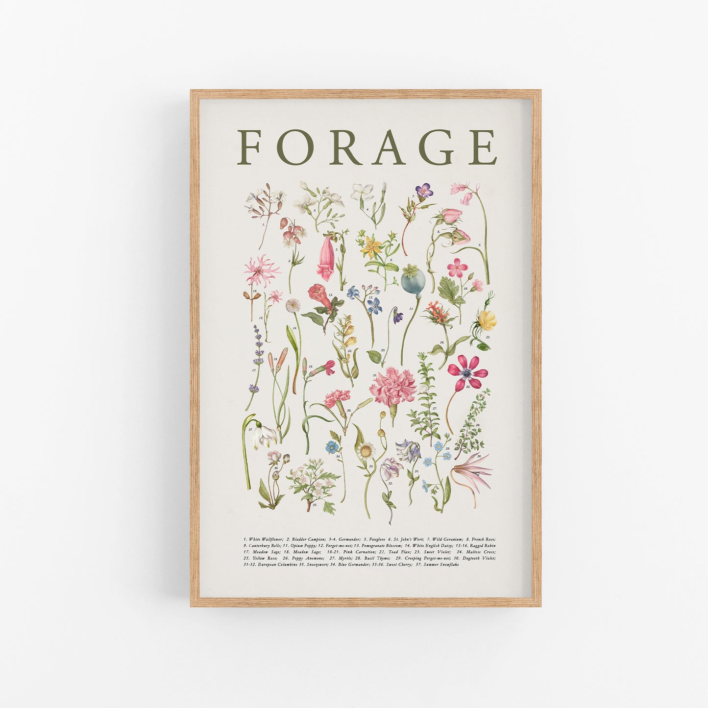 spring poster, foraging, flower study