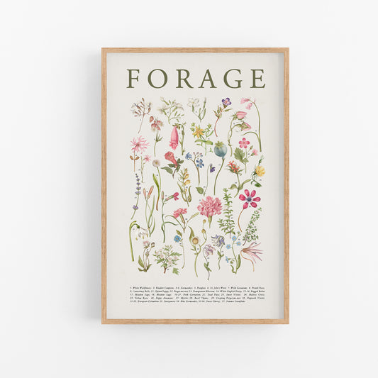 spring poster, foraging, flower study